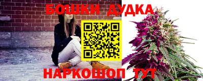 твердый Камышлов